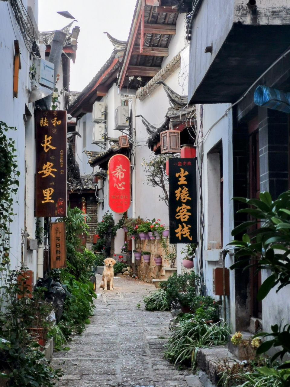 Petite ruelle paisible dans Lijiang.