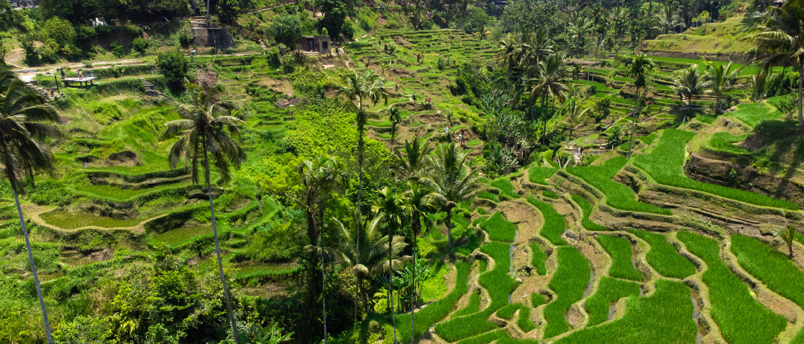 1 semaine dans le centre de Bali