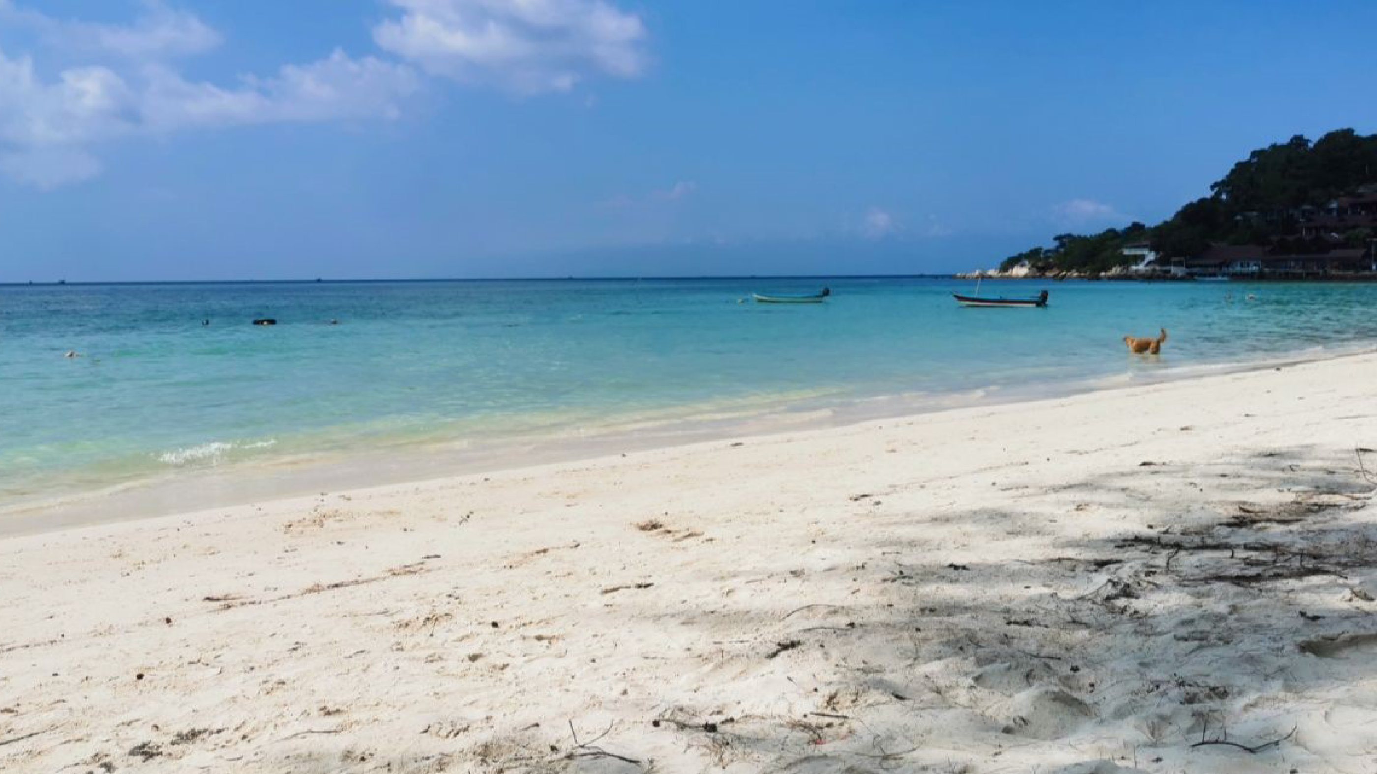 Koh Phangan
