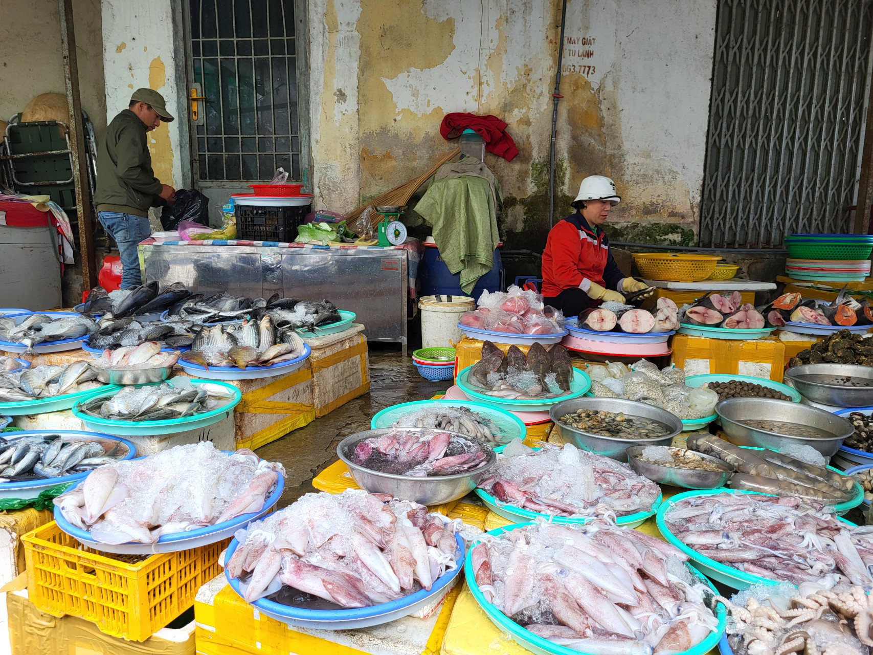 Des vendeurs de poissons frais à même le sol