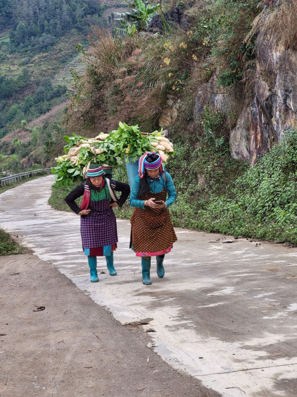 Enormement de femmes de tout age travaillant au champ