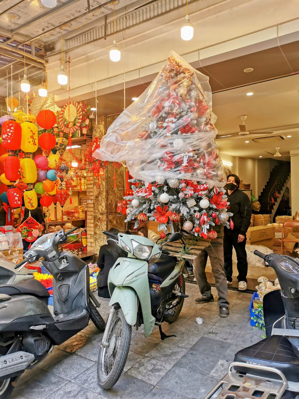 Pourquoi pas charger un sapin de Noel sur son scooter ?