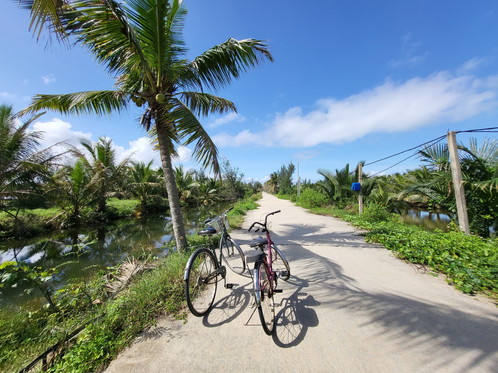 Petite balade en vélo matinale dans les environs de Hoi An.